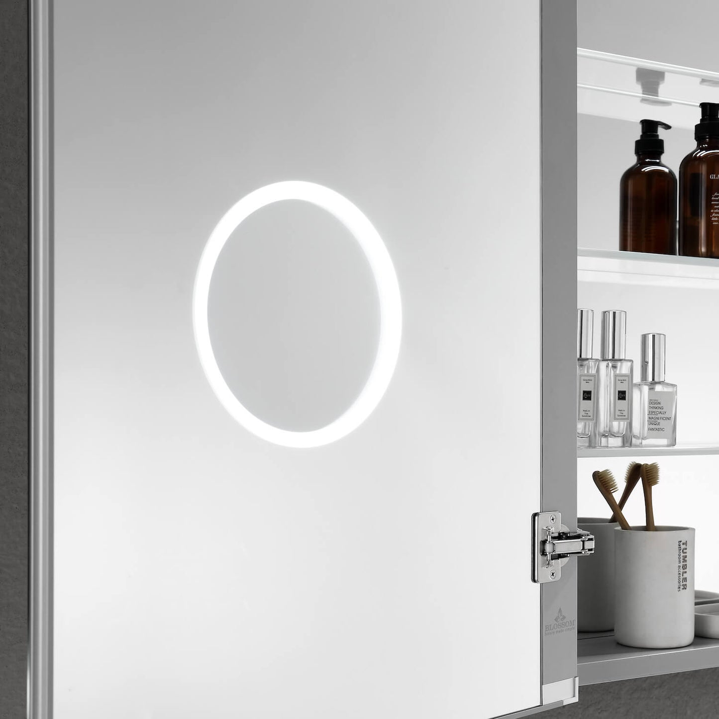 Asta - LED Medicine Cabinet
